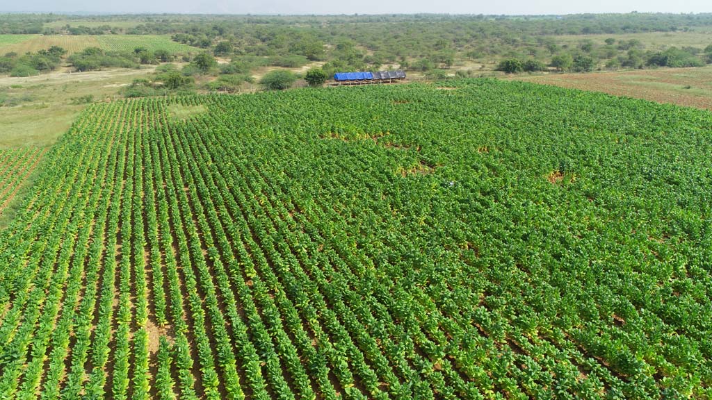 Andhra pradesh agri land for sale